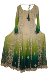 Rani Emaan Ombre Dress